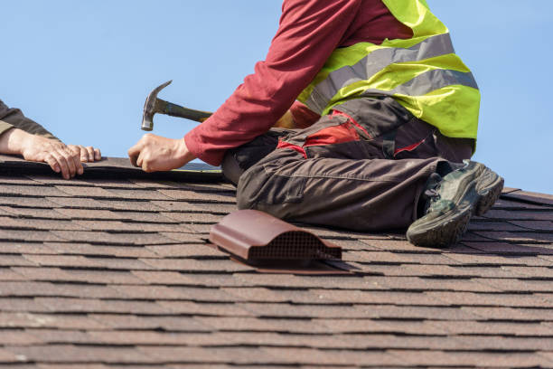 Professional Roofing Contractor in Ocklawaha, FL